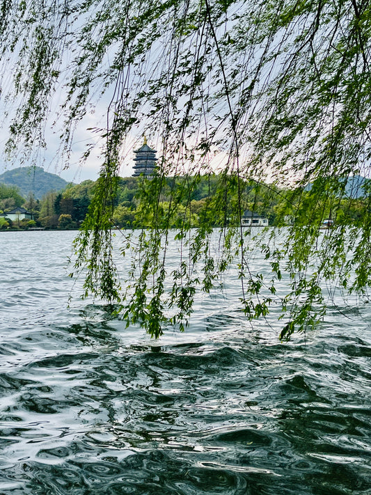 Discover Hangzhou’s Timeless Beauty – Practical Tips, Cultural Secrets & Stress-Free Routes